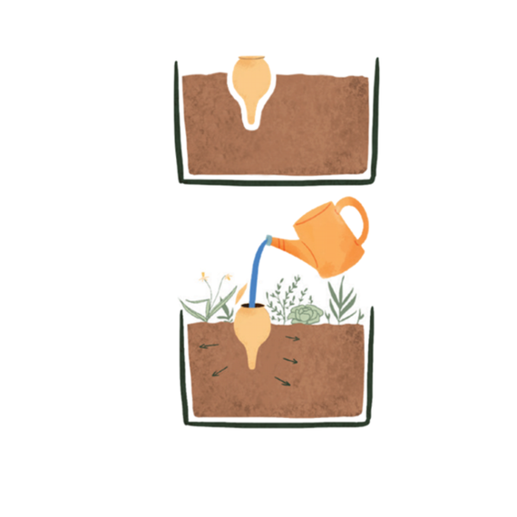 Olla à planter en terre cuite – irrigation passive de potager et plantes en pot
