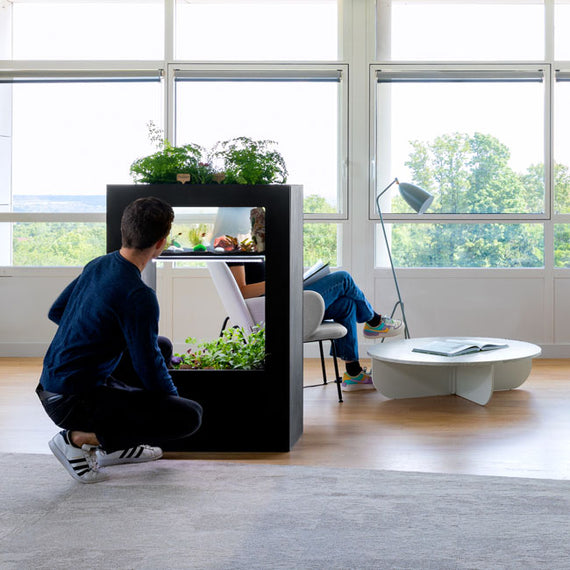 Aquarium aquaponie aura urbaine 3