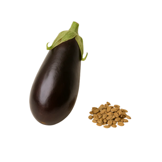 Aubergine Syrian Stuffing