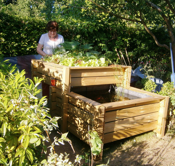 Geraldines Gemüsegarten
