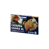 Hobby Catappa Leaves XL box containing 12 Indian almond leaves, illustrated with a fish and a shrimp