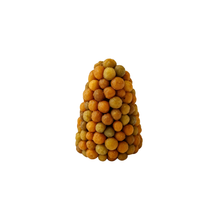 Engrais pour plantes aquatiques