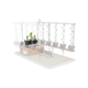 Extension3grandsplants