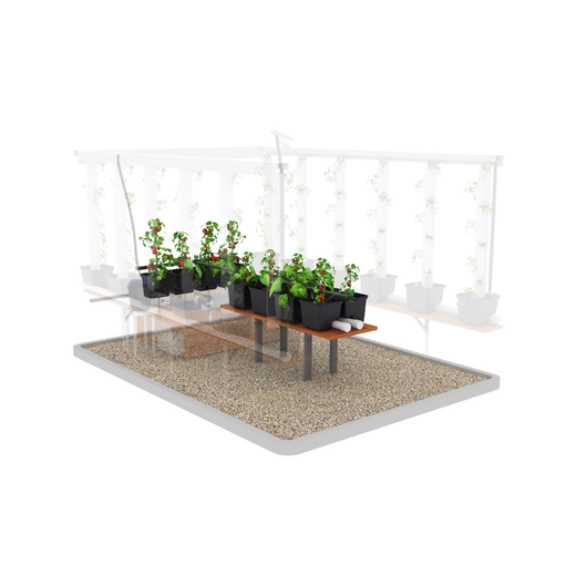 Extension 12 grands plants