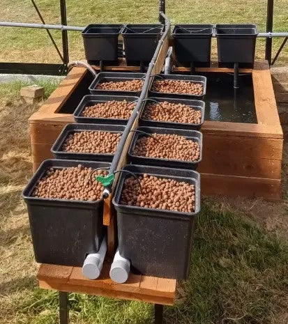 extension grand plants aquaponie