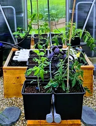 extension tours aquaponique