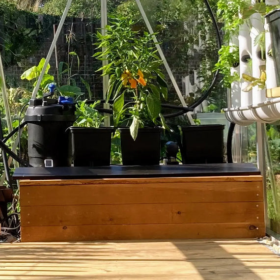 extension tours aquaponique