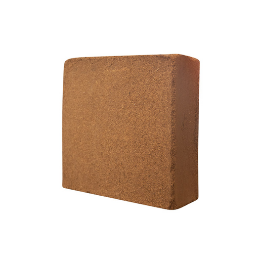 Fibre de coco