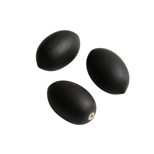 Lotus-Samen : Nelumbo nucifera