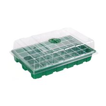 Mittelgroße Keimsets : 3er-Pack