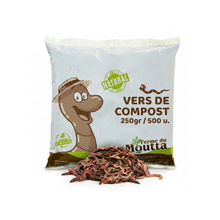 Levende regenwormen voor wormencomposteerder en compostbak