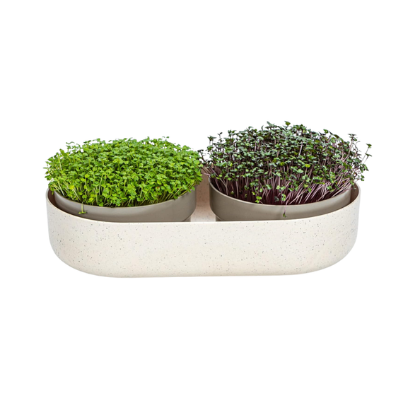Double microgreens growing kit