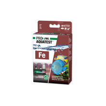 Eisentest (FE)