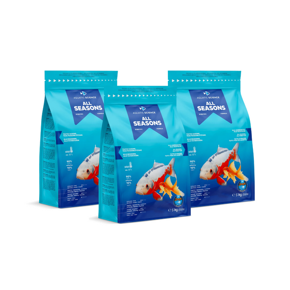 Lot de 3 All Seasons 