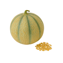 Sementes de Melão Cantaloupe Charentais