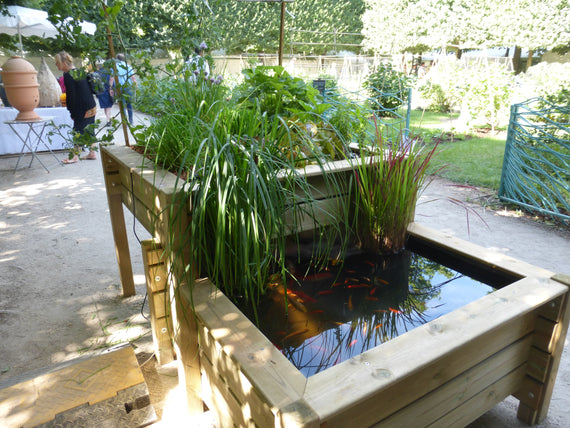 Geraldines Gemüsegarten
