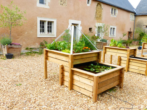 Geraldines Gemüsegarten