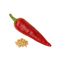 Semillas de Pimiento de Espelette Gorria