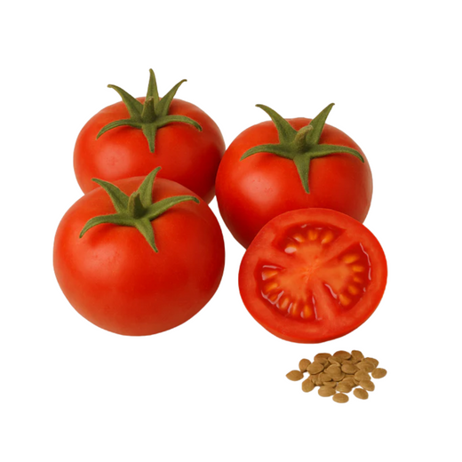 Tomate Rouge "Jupiter"