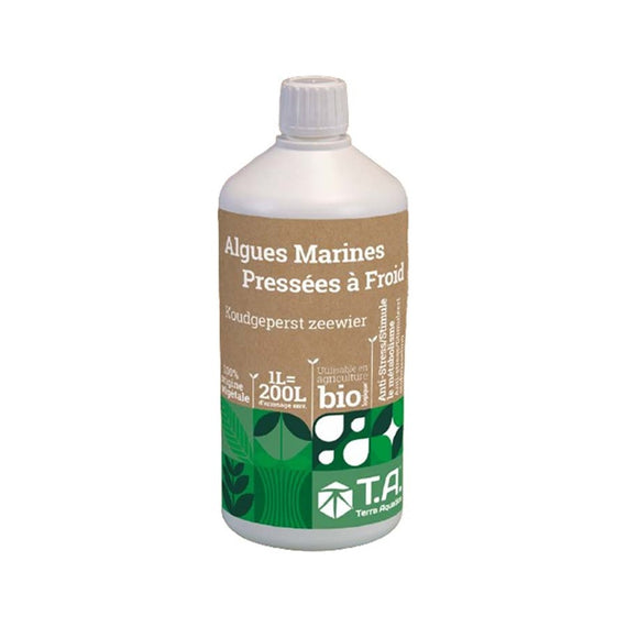 Flacon de 1 L d'algues marines pressées à froid, étiquette kraft et verte, utilisable en bio