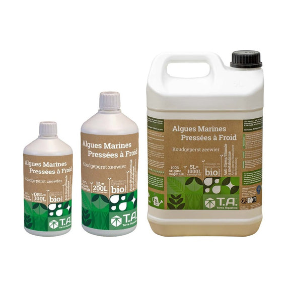 Extrait d'algue en flacons de 500 ml et 1 L et en bidon de 5 L, côte à côte