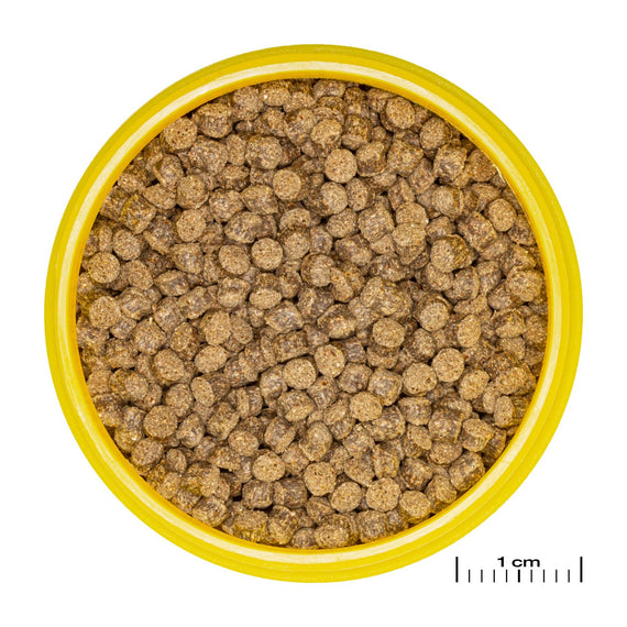 JBL ProNovo Fantail Grano M granules seen close up next to a 1 cm ruler
