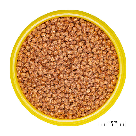 JBL ProNovo Fantail Grano S granules seen close up next to a 1 cm ruler
