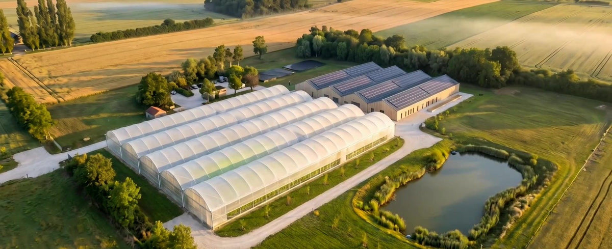 Vue aérienne du projet de ferme aquaponique Aquaponeasy à Vic-sur-Seille