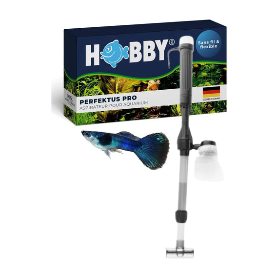 Caja del Hobby Perfektus Pro junto al aspirador montado y un guppy