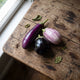 Coffret de graines d'aubergines bio, 6 variétés