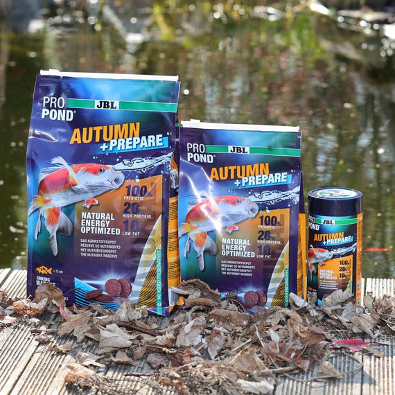 Deux sachets et une boîte d'aliment d'automne posés sur un ponton couvert de feuilles mortes