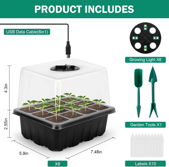 Kit germination en situation réelle pour faire pousser plants vigoureux avant repiquage