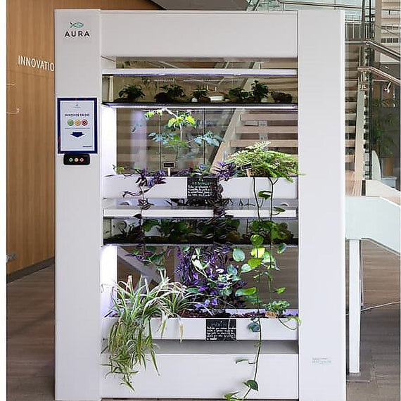 Grand Baromate blanc vu de face dans un hall d'entreprise, deux aquariums, bacs d'aromates et écran de suivi sur la colonne