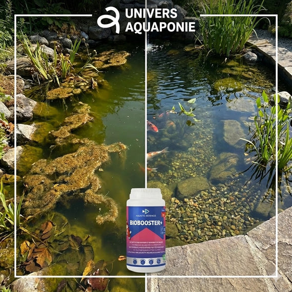 univers aquaponie