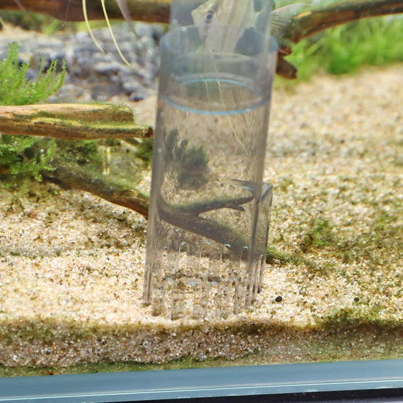 Cloche JBL ProClean Aqua-Ex enfoncée dans le gravier d'un aquarium