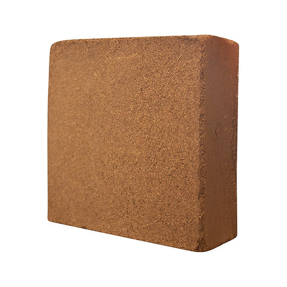 Pain de fibre de coco compressé sorti de son emballage, bloc dense de fibre brune sur fond blanc