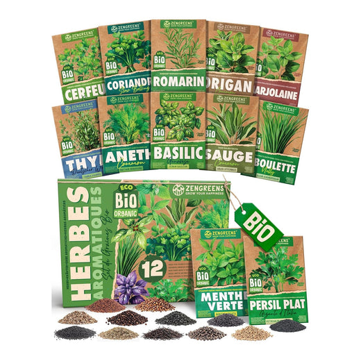 Set of 12 packets of organic culinary herb seeds, from thyme to flat-leaf parsley