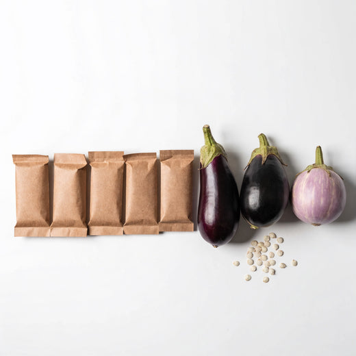 Brown paper seed packets lined up beside three aubergines of different shapes