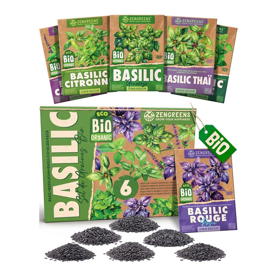 Coffret de 6 sachets de graines de basilics bio, citronné, thaï, pourpre et Genovese