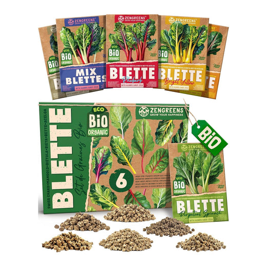 Set of 6 packets of organic chard seeds with red, yellow and white stems