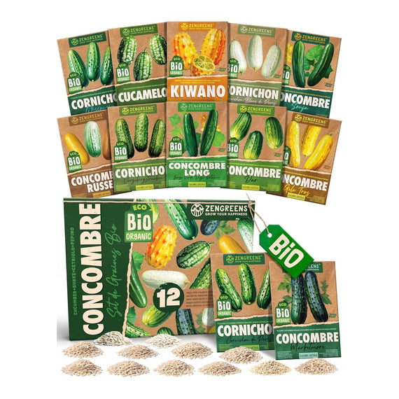 Coffret de 12 sachets de graines de concombres et cornichons bio, dont kiwano et cucamelon