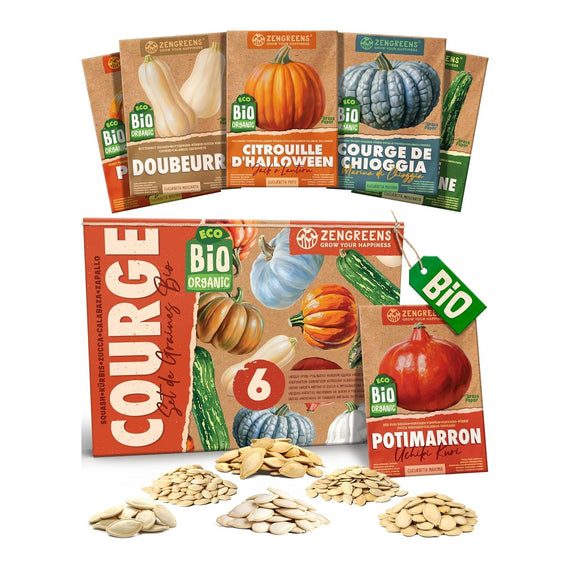 Coffret de 6 sachets de graines de courges bio, dont doubeurre et courge de Chioggia
