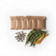 Coffret de graines de haricots bio, 6 variétés
