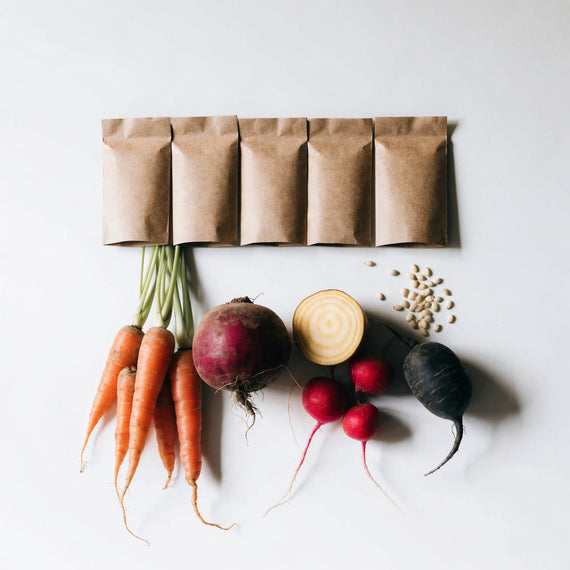 Sachets de semences en papier brun avec carottes, betteraves rouge et jaune, radis roses et radis noir