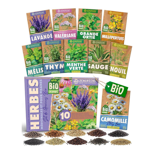Box of 10 packets of organic herbal tea plant seeds, including lavender, lemon balm and sage
