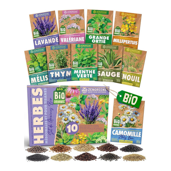 Coffret de 10 sachets de graines de plantes à tisane bio, lavande, mélisse et sauge