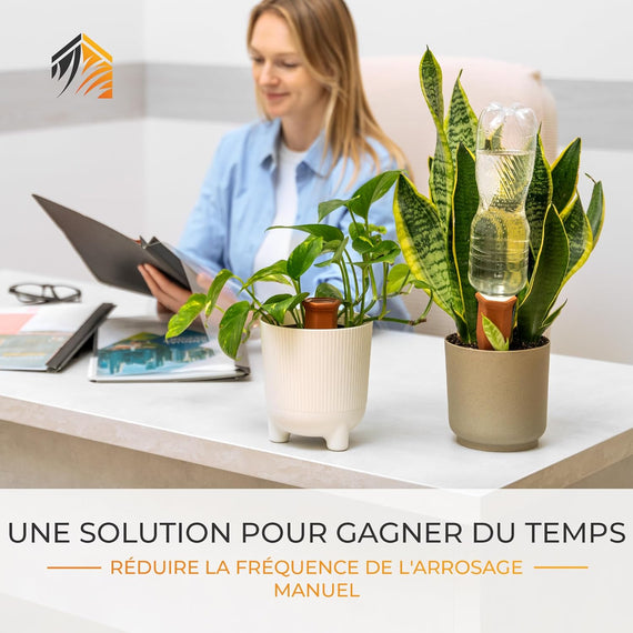 Cônes en argile pour irrigation passive de plantes en pot durant les absences prolongées