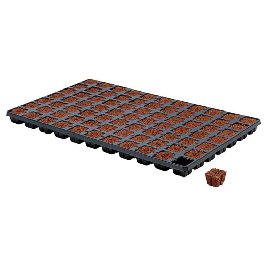 Plateau alvéolé de 77 cubes Eazy Plug pour semis et boutures