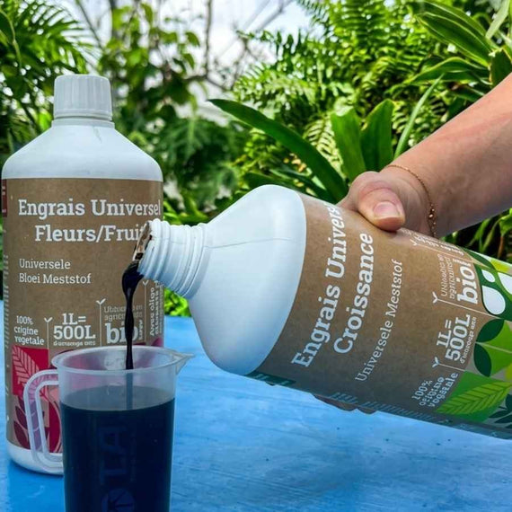 Engrais de croissance versé dans un verre doseur en serre, flacon floraison en arrière-plan