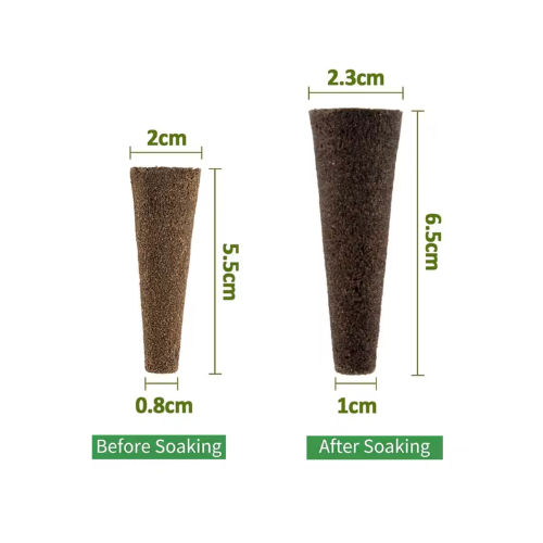Éponge de germination en tourbe mesurée à sec, 2 x 5,5 cm, et après trempage, 2,3 x 6,5 cm